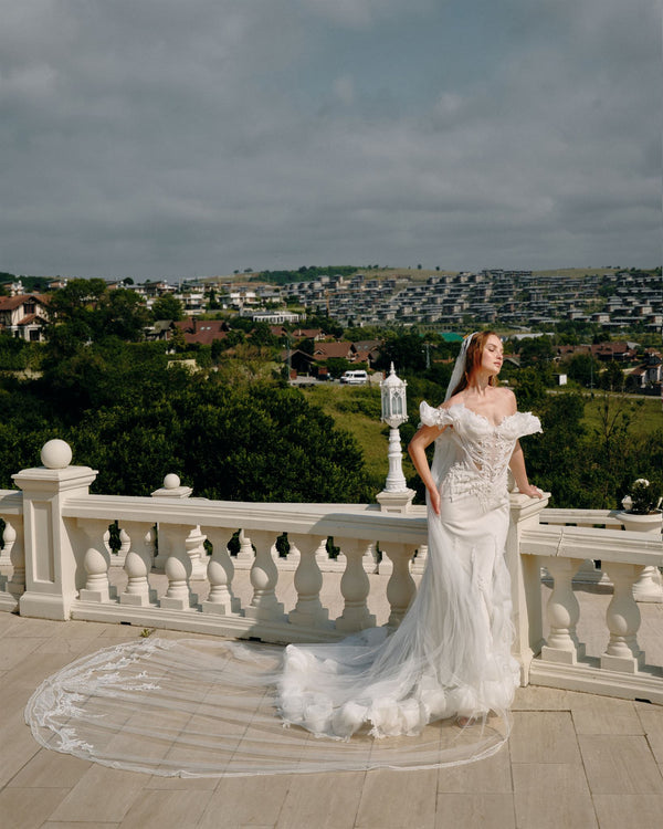 Mermaid gown with sheer tulle train