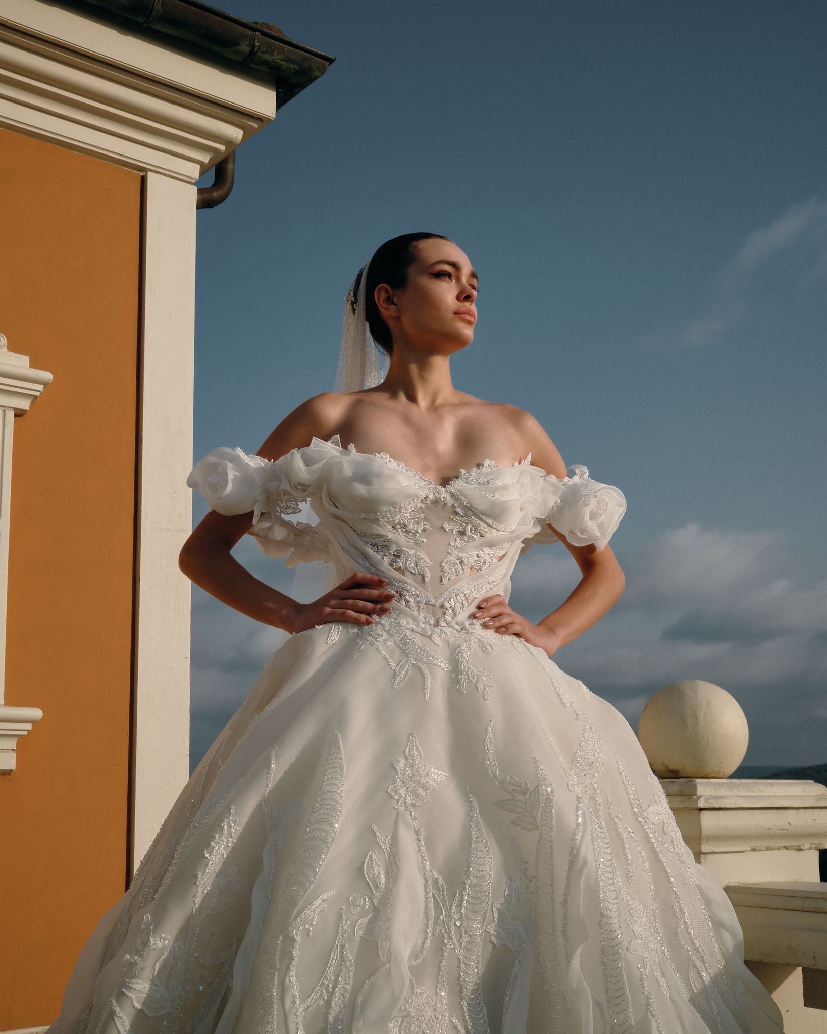 Organza tulle rose ballgown