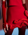 Red embellished top and mini set - 3