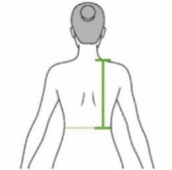 Back, Shoulder to Waist
