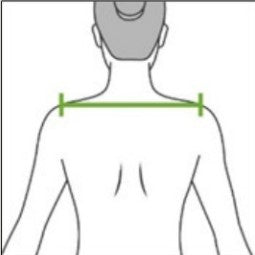 Shoulder to Shoulder-Back