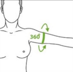 Widest point of Upper Arm