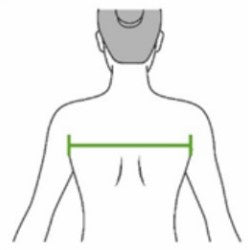 Cross Back