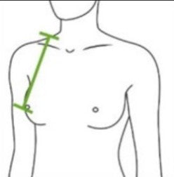 Bust Depth